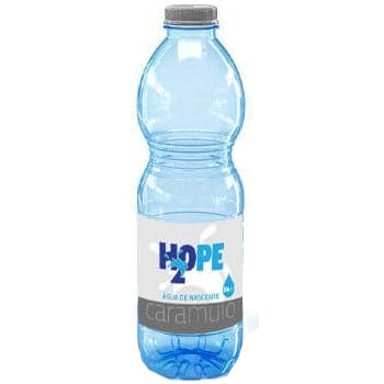Pack 24un Água de Nascente H2OPE 0,5L