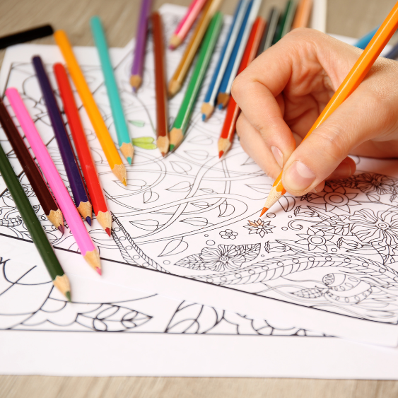 Livros Colorir