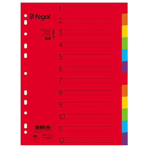 Separadores A4 Cartolina 12 posições Pajory Cores Fortes