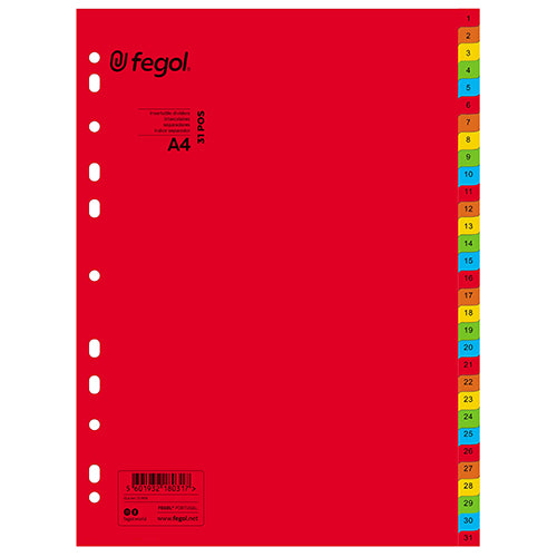 Separadores A4 Cartolina 31 Posições Pajory Cores Fortes