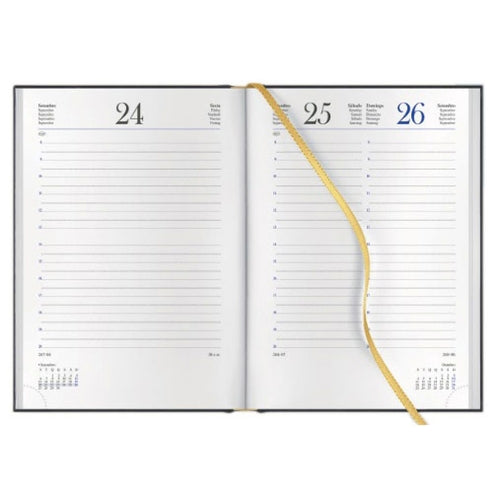 Agenda 2026 Diária Secretária Papiro Polignano A21 15x21cm Verde