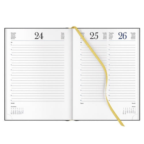 Agenda 2026 Diária Secretária Papiro Polignano A21 15x21cm Tiffany