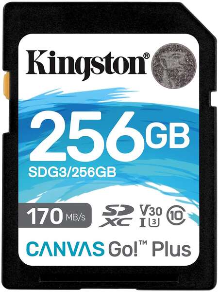 Cartão Kingston SDXC 256GB UHS-I U3 V30 Classe 10 170MB/s Ca