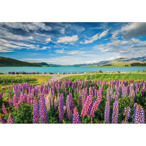 Puzzle Clementoni 1500 Peças - Lupins At Lake Tekapo