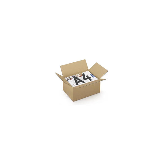 Caixa Cartão Simples 312x225x152mm (0,0106m3)- 25un
