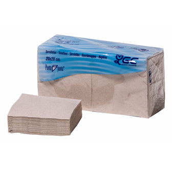 Guardanapos 20x20 2Fls Reciclados Nature P&P 100%  2*100un